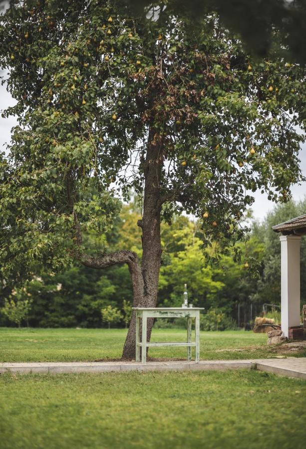 Villa Nálunk, vidéken Asvanyraro Exterior foto